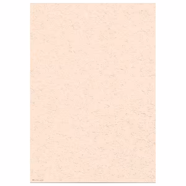 کاغذ خوشنویسی ابروباد چاپی سایز 50*35 کد(819) – بسته 5 برگی