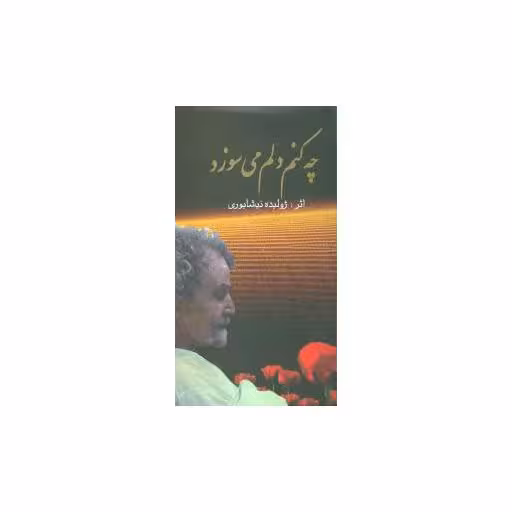 کتاب چه کنم دلم میسوزد اثر ژولیده نیشابوری