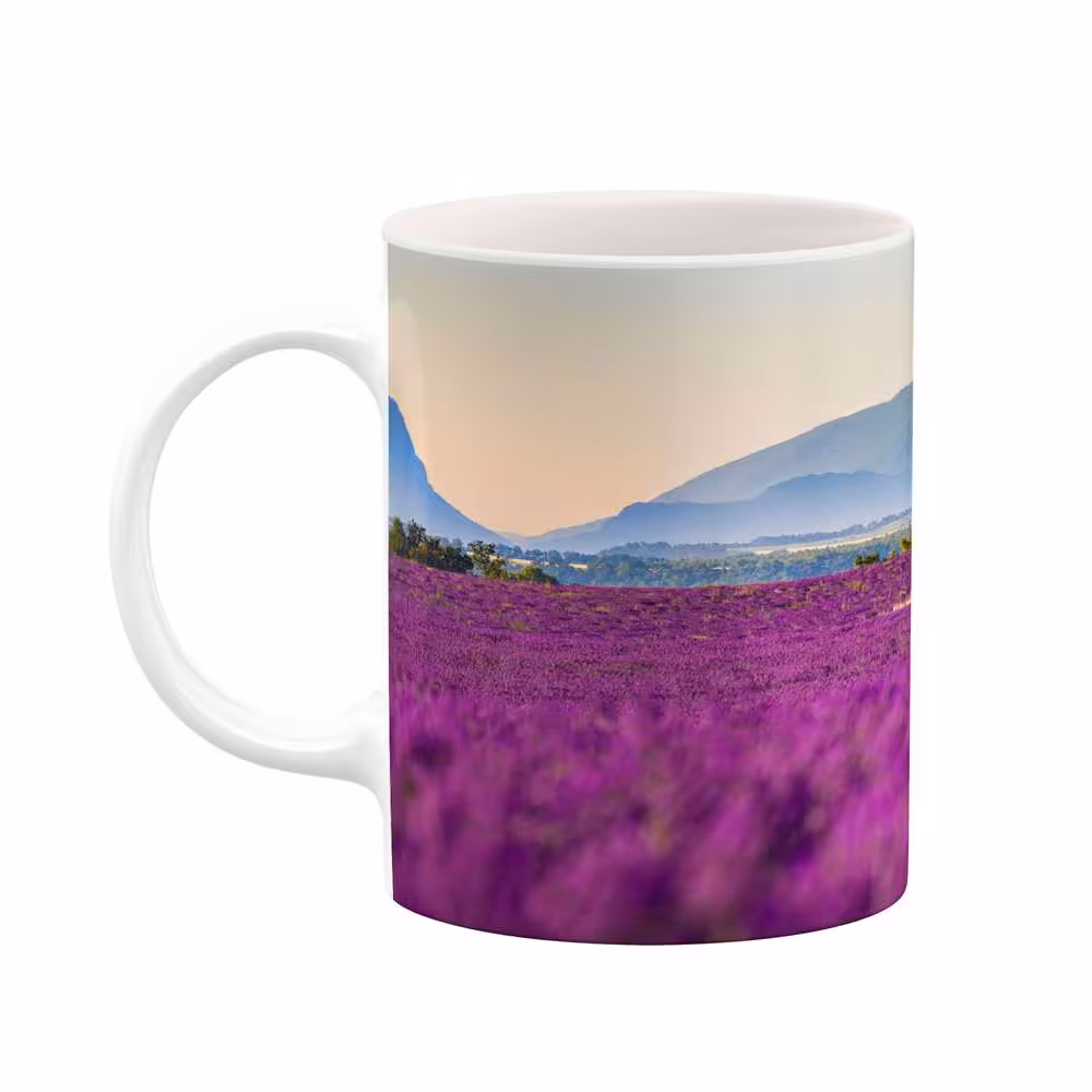 ماگ کاکتی طرح منظره مدل mgs14673