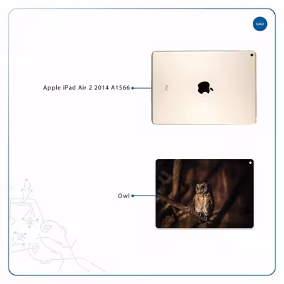 برچسب پوششی ماهوت مدل Owl مناسب برای تبلت اپل iPad Air 2 2014 A1566