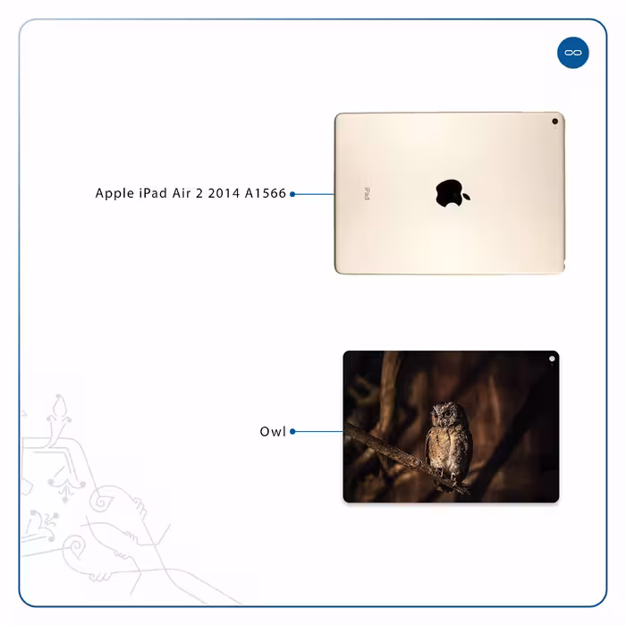 برچسب پوششی ماهوت مدل Owl مناسب برای تبلت اپل iPad Air 2 2014 A1566