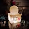 آباژور سنگ نمک مدل گوی و مکعب طرح آیه دار کد 428