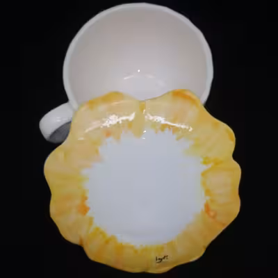  ست فنجان و نعلبکی سرامیکی هیوا مدل گل رز کد 10880984