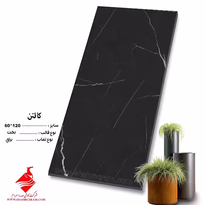 سرامیک کالتن 120*60 صدرا سرام