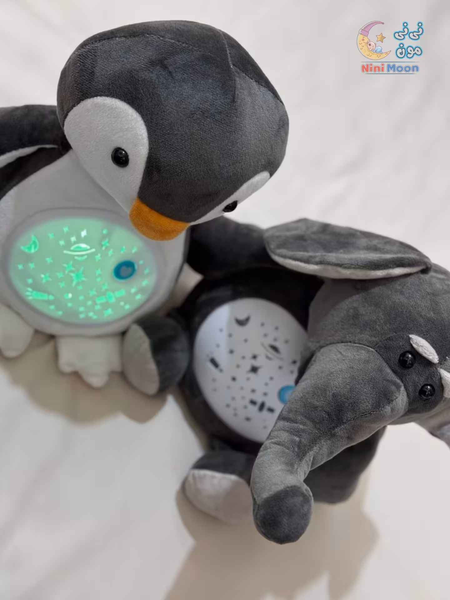 چراغ خواب پولیشی