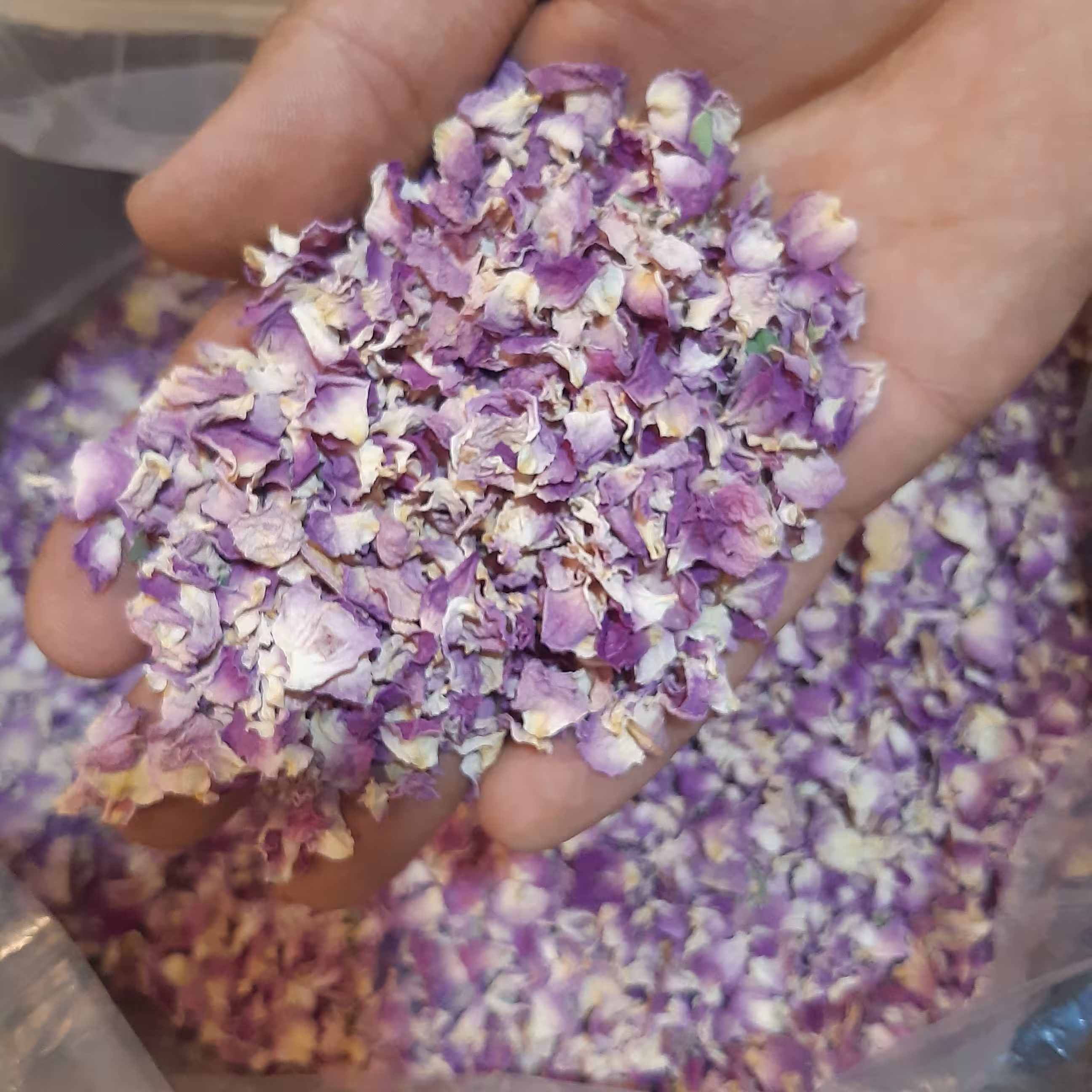 پر گل محمدی ممتاز 100گرمی 