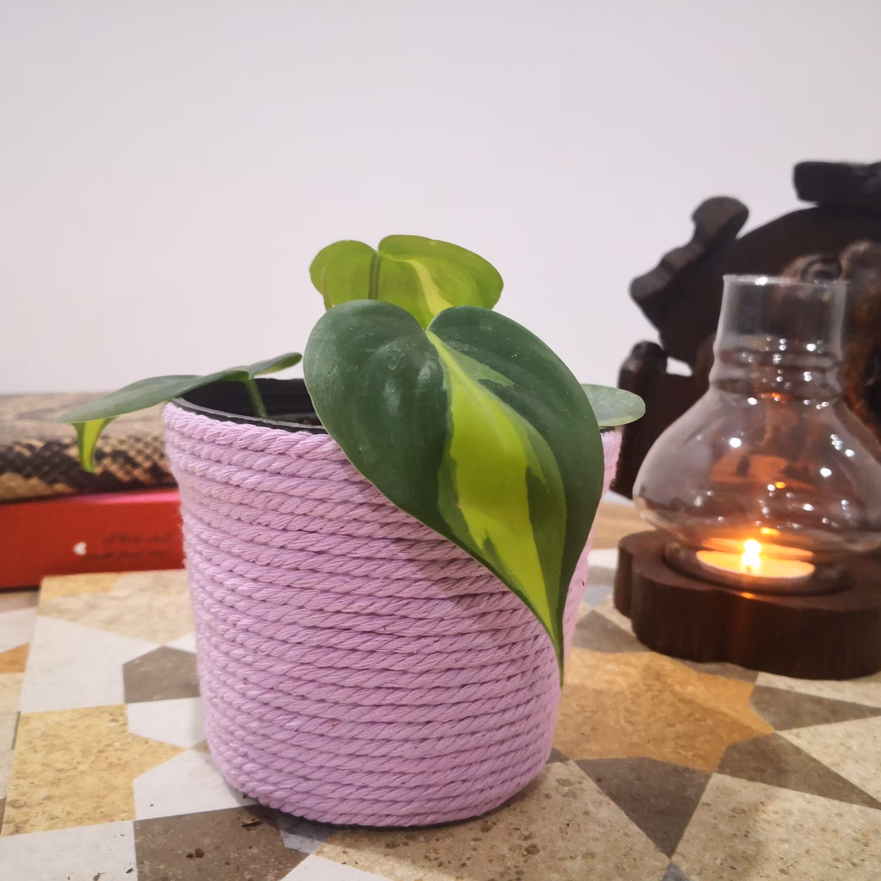 گلدان مکرومه یاسی رنگ سایز 10 