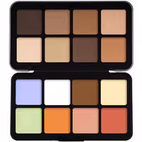 پالت کانتور و هایلایتر فیوچر میکاپ مدل Professional 16 Color Contour Pallete