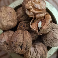 گردو تازه و ارگانیک  1کیلویی