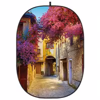 فون بک گراند گودکس Godox CBA-CS0001 Collapsible Background