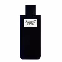 عطر ادکلن زنانه و مردانه برکورت مدل کاپتیو  Brecourt Captive حجم 100 میلی لیتر | Brecourt Captive Eau De Parfum For Women and Men 100 ml