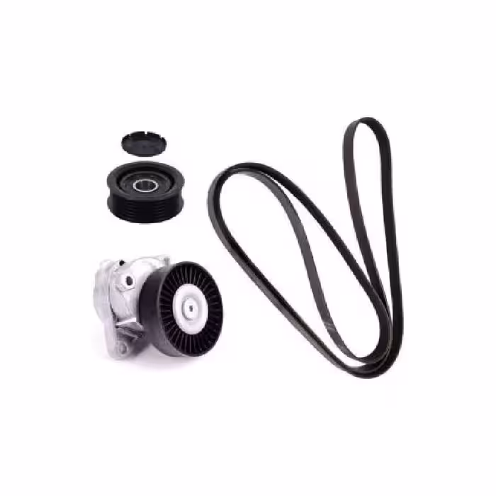 هرزگرد تسمه دینام لاماری ایما