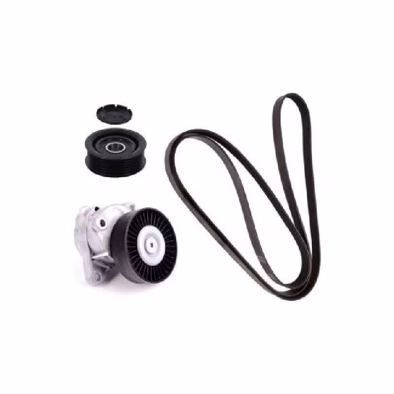 هرزگرد تسمه دینام لاماری ایما