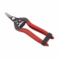 قیچی میوه چینی سر کج لایت مدل JH-803