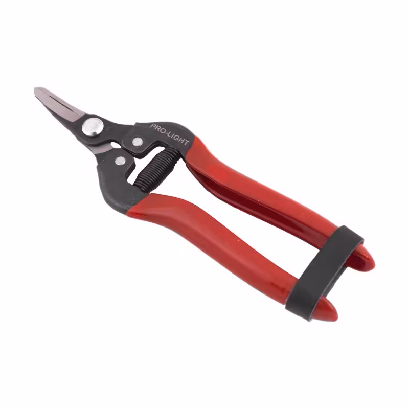 قیچی میوه چینی سر کج لایت مدل JH-803