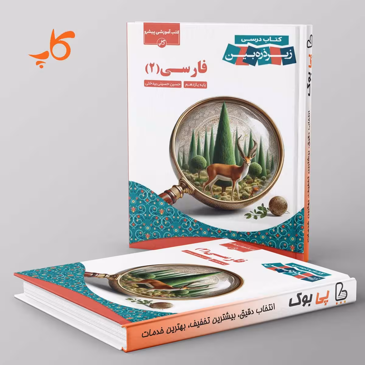 کتاب درسی زیر ذره بین فارسی یازدهم کاپ