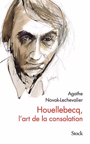 خرید و دانلود نسخه کامل کتاب Houellebecq, l'art de la consolation (Essais - Documents) (French Edition) -   pdf