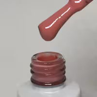 لاکژل 10 میل شماره 22  ژلیش لاک ژل
