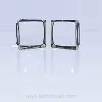 عدسی با محافظ فنری 2*2