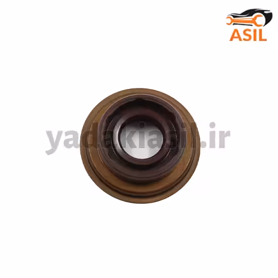 کاسه نمد تعویض دنده 405 ایساکو