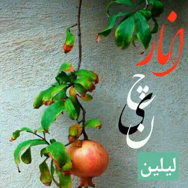 رمان انارچین pdf