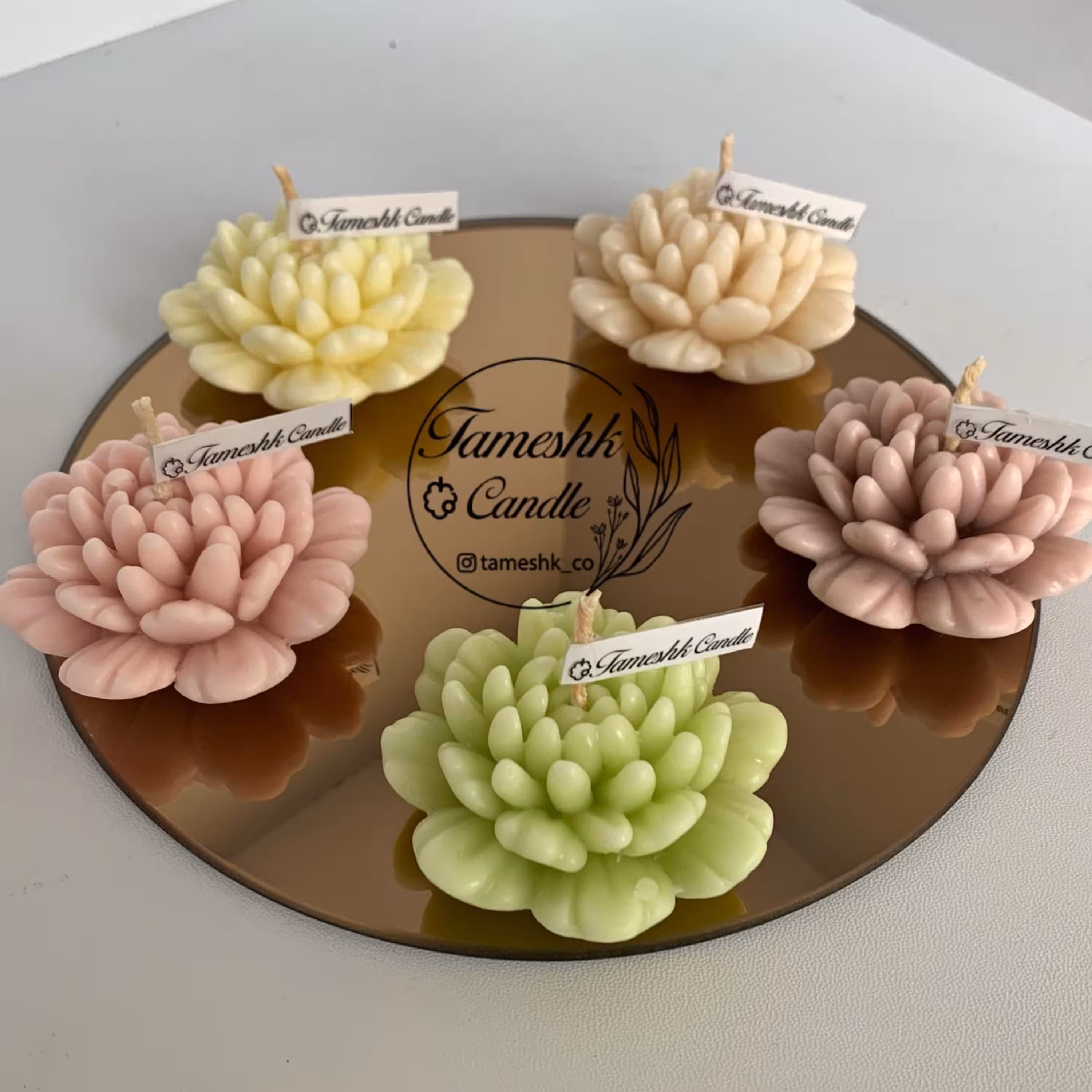 شمع گل داوودی