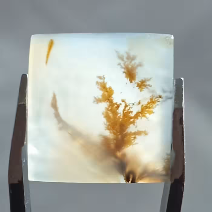 نگین شجر قائن سایز کوچک مناسب برای انگشتر و..