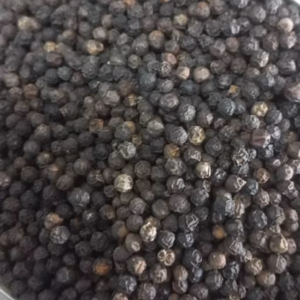 فلفل سیاه درشت 6 میل 250 گرم 83 هزار تومان یک کیلو 320 هزار تومان 