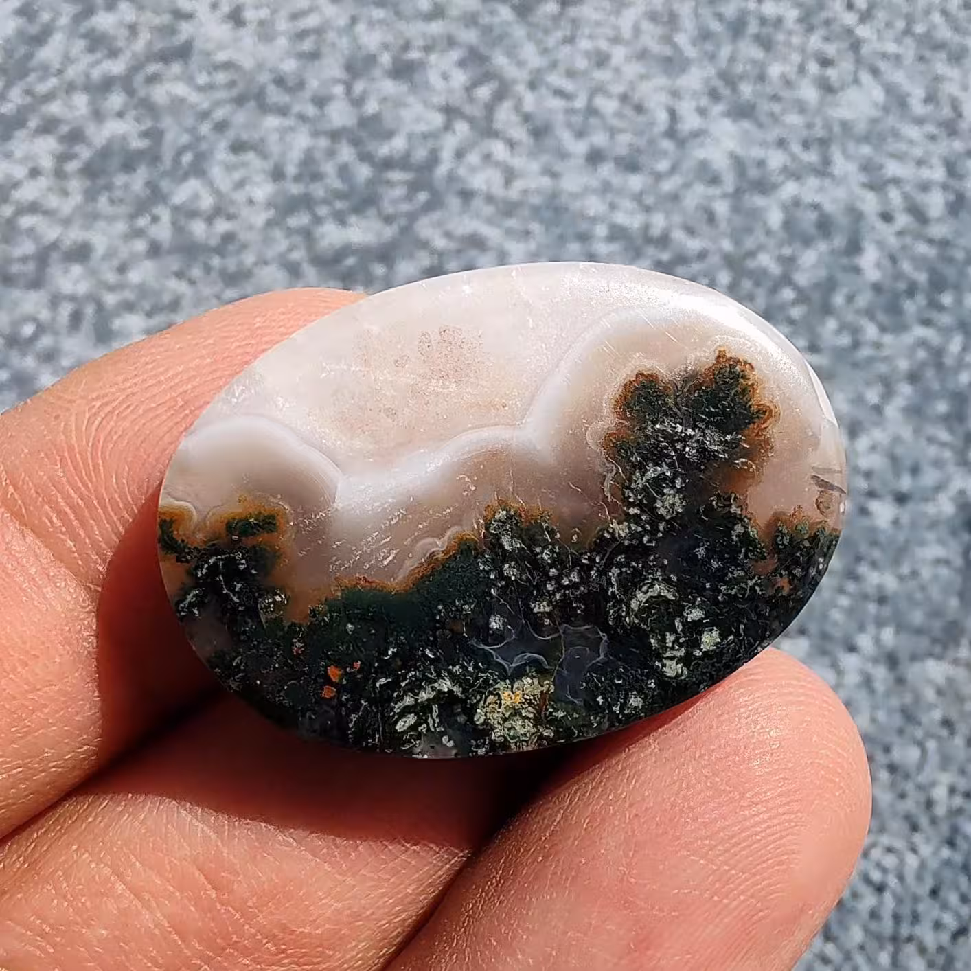 نگین عقیق شجر منظره جنگلی درجه یک 