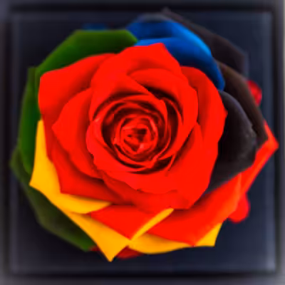 جعبه موزیکال کشودار رز جاودان دکوفیوره مدل کوک لاو