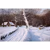 تابلو نقاشی رنگ روغن طرح منظره برفی مدل سکوت جنگل کد 02