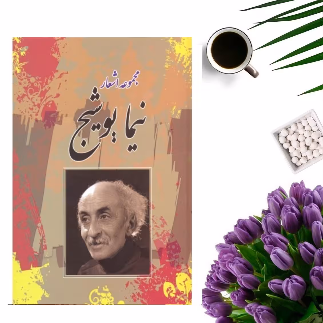 کتاب مجموعه اشعار نیما یوشیج (قابدار جلد گالینگور ) انتشارات آکادمی کتاب