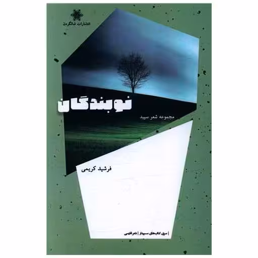 کتاب نوبندگان اثر فرشید کریمی