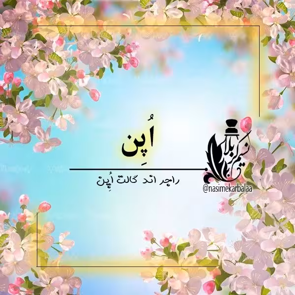 عطراپن مردانه خاص با ماندگاری و پخش بوی بی نظیر(یک گرم)