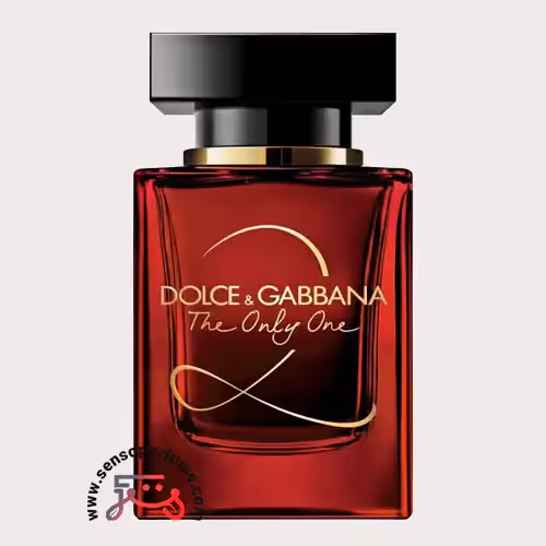 عطر ادکلن دلچه گابانا د اونلی وان 2 | dolce gabbana the only one 2