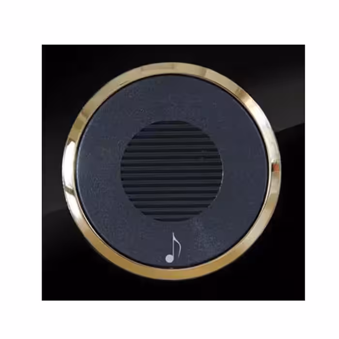 زنگ ملودی آوا پلکسی مشکی زه طلایی دلند