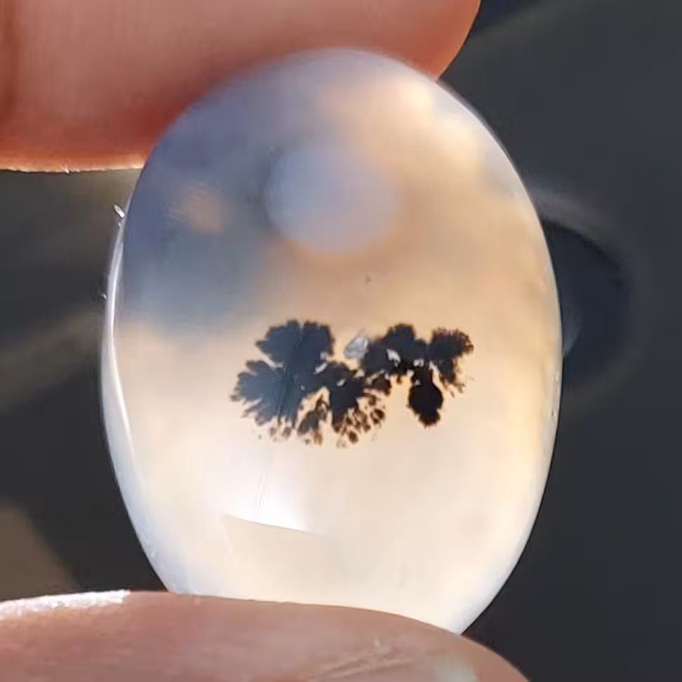 عقیق شجر با باباقوری 