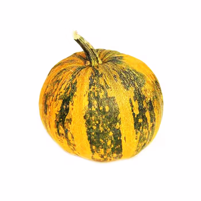 بذر کدو پوست کاغذی