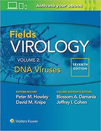 خرید و دانلود نسخه کامل کتاب Fields Virology: DNA Viruses (7th Edition) -   Pdf