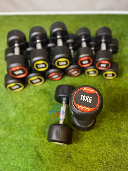 دمبل گرد cytech وزن 22.5 کیلوگرم بسته دو عددی