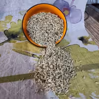 کلپوره  یا مریم نخودی(100 گرمی)(همراه بسته تی بگ)