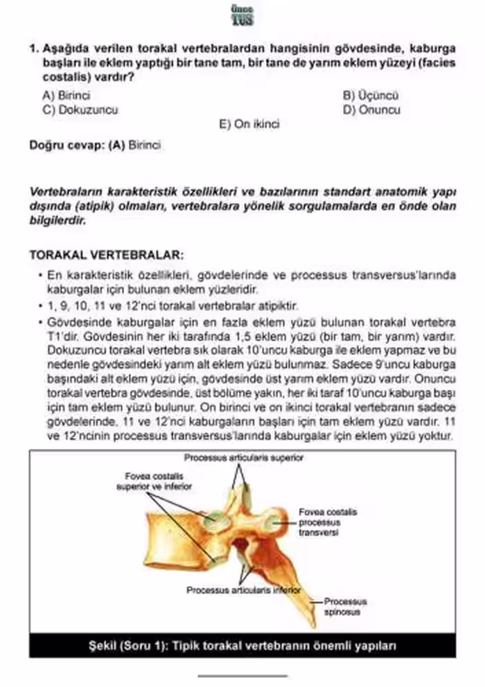 خرید و دانلود نسخه کامل کتاب 2017 Eylül Yaz Dönemi Denemeleri