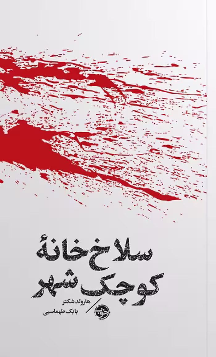 سلاخ خانه کوچک شهر