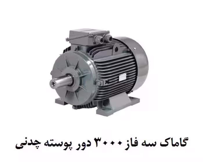 الکتروموتورگاماک  22KW سه فاز 3000 دور