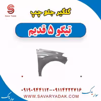 گلگیر جلو چپ تیگو پنج قدیم