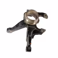 سگ دست چپ قديم پرايد – عظام