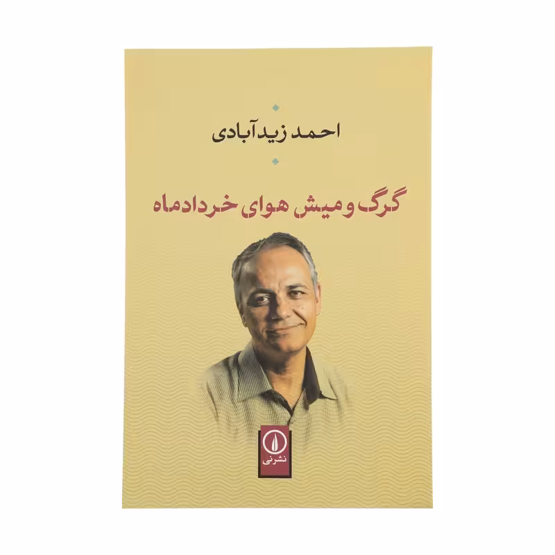 کتاب گرگ و میش هوای خردادماه نشر نی