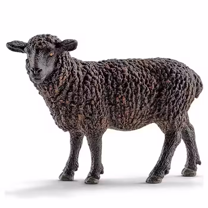 گوسفند سیاه اشلایش Schleich
