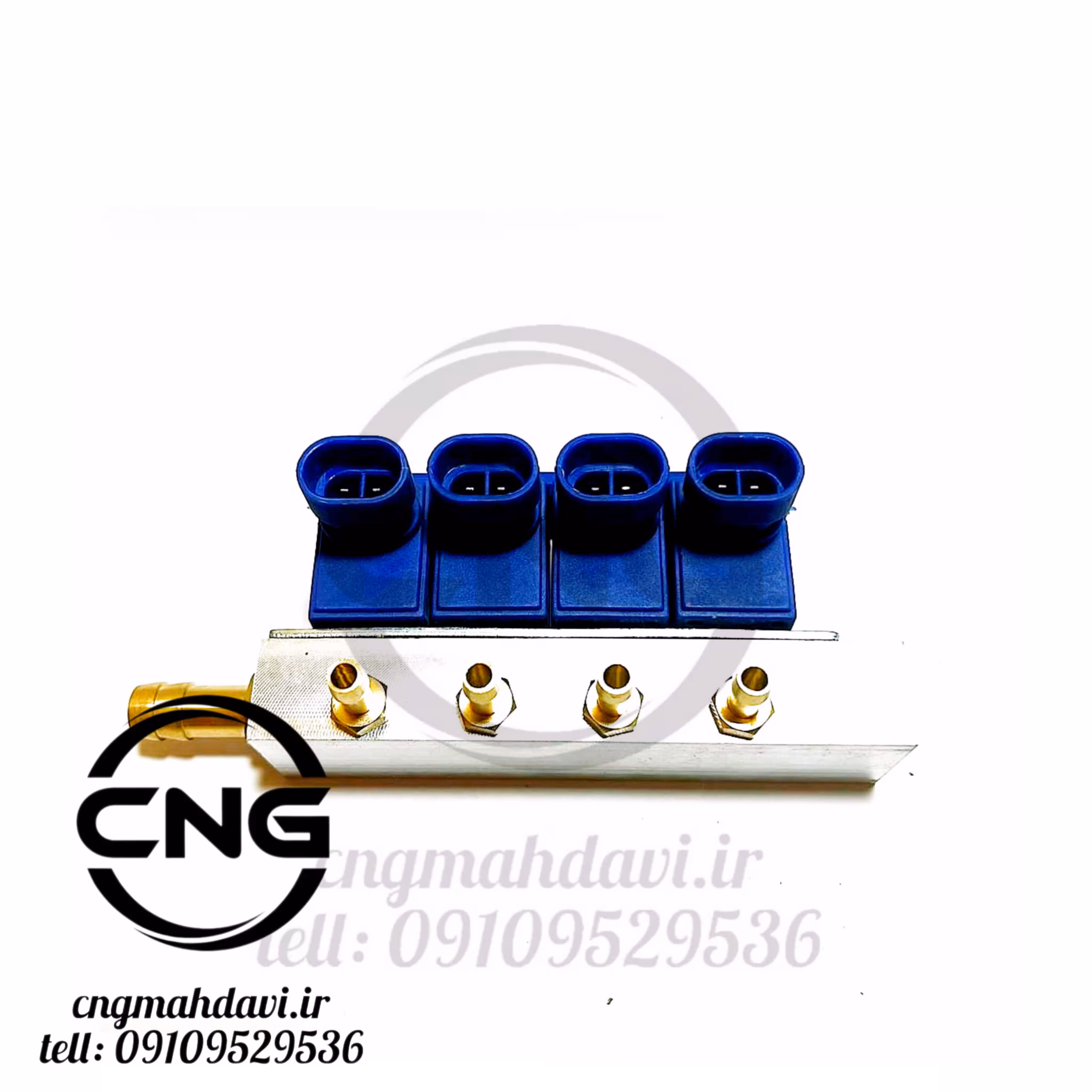ریل سوخت رج استوک اصلی ایتالیایی REG | سی ان جی مهدوی