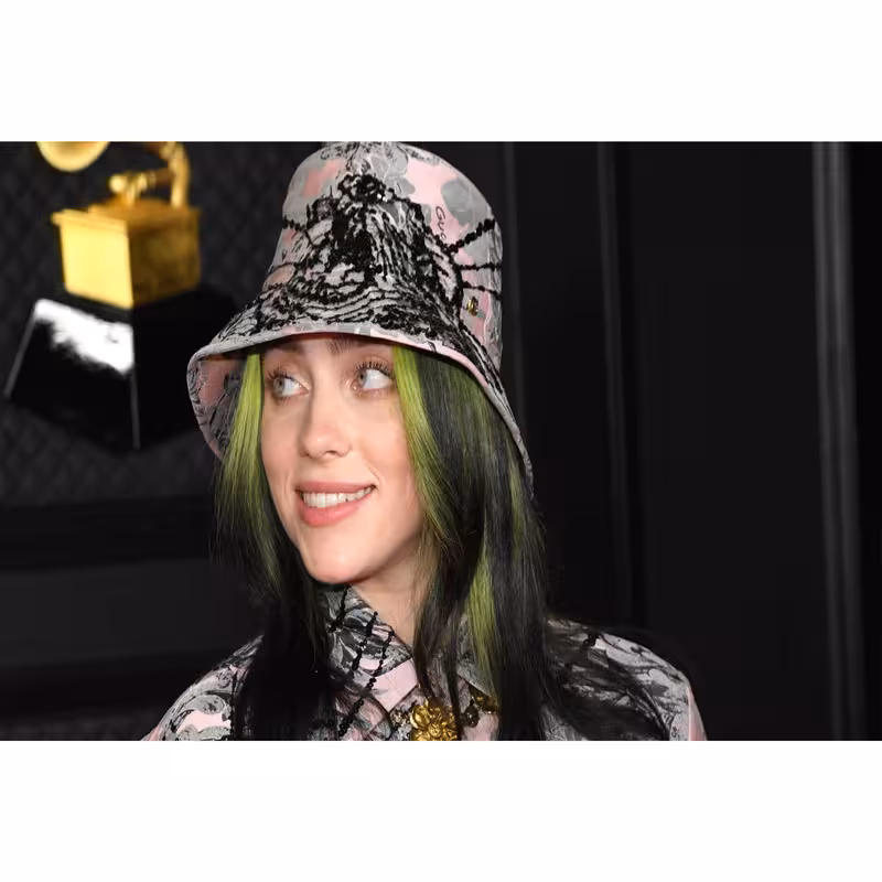 تابلو شاسی مدل خواننده بیلی آیلیش T5581 | دنیای قاب